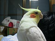 ���`��x���̂Ɂ`