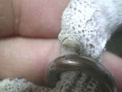 足輪:外そかやめよか考え中