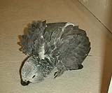 �Ղ�Ղ�Ղ�Ղ�