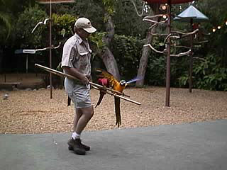 出勤だ出勤だ〜バサバサ