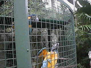 こっちにもくれよぉ〜