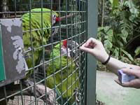 ひまわりおいしいなぁ