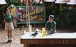 よいしょよいしょ