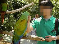 ねぇ何で顔にモザイク?