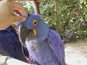 おまいも一寸脂っこいな