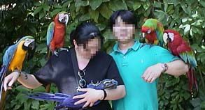 すみれちゃんの雛だっこ