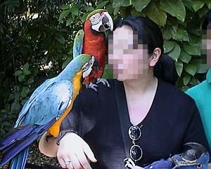 どっから来たのぉ