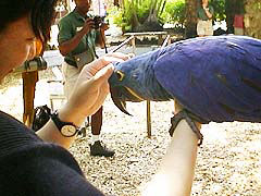 後ろの人がカメラマン