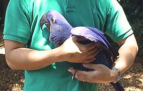 ど〜やって持って帰ろう(^_^;