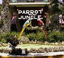 ParrotJungle����