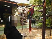 あらこんな所にハーゲンちゃん?